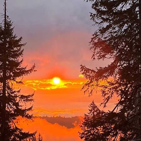 Alpin Eco Chalet & Wellness Dragobrat Zewnętrze zdjęcie